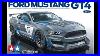 Tamiya-1-24-Ford-Mustang-Gt4-Preview-And-Completed-Plastic-Model-Kit-01-yep